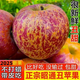 正宗25年新果云南昭通冰糖心丑蘋果新鮮水果現(xiàn)摘脆甜野生富士蘋果 5斤凈重70-75mm