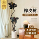 雅致1.3-1.5m黑金剛橡皮樹綠植客廳好養(yǎng)室內(nèi)大型盆栽擺件圓柱源頭直發(fā)