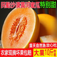 民勤黃河蜜瓜甜瓜水果新鮮當(dāng)季整箱甘肅黃金哈密瓜香瓜 9斤 精選特大果