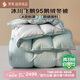 羅萊 羽絨被子 A類(lèi)95%水洗鵝絨保暖冬被芯約4.3斤綠 JDear京東定制款