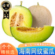 畝家田海南網(wǎng)紋瓜蜜瓜玟瓏冰淇淋甜密瓜新鮮孕婦水果當(dāng)季時(shí)令年貨整箱 5斤精品裝【2-3個(gè)裝】?jī)艄?.5斤