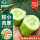 壽禾 白玉黃瓜種子苗水果小青瓜秋季蔬菜種籽 妍白黃瓜種子100粒*2袋