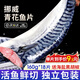 尚致挪威青花魚(yú)鮮切青花魚(yú)片深海魚(yú)青占魚(yú)新鮮冷凍青魚(yú)鯖魚(yú)生鮮魚(yú)類(lèi) 【18片】獨立包裝160g/片