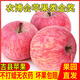 山西吉縣壺口紅富士平蘋(píng)果新鮮水果當季整箱脆甜一級精品冰糖心 80mm(含)-85mm(不含) 店主 4250g