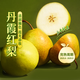 東方甄選丹霞紅梨清甜多汁應(yīng)季新鮮水果壞果包賠順豐4.5斤 【4.5斤】到手約7-9個（單果220g+）
