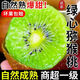 【果園直發(fā)】正宗湘西綠心獼猴桃 獼猴桃現(xiàn)摘新鮮水果米糧1號 20個 單果 70-90g