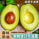 南步秘魯進(jìn)口牛油果【放軟食用】奶油綠鱷梨寶寶輔食健康輕食新鮮水果 6個(gè) 中果【單果100-130g】