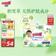 大王【品牌直供 安心品質】天使自然之恩紙尿褲XL34片(12-17kg)尿不濕