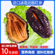 冰島北極紅參整只即食海參冰鮮進口紅極參加拿大俄羅斯野生原裝參 10年參齡1斤5-9只【償鮮滋補】