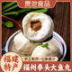 福州拳頭大魚(yú)丸福建特產(chǎn)手工包心魚(yú)圓丸子字號火鍋食材半成品老純 福州大魚(yú)丸500g（拳頭大）*1包