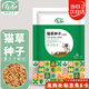 壽禾 貓草小麥草種子貓零食蔬菜籽 濰育中壽貓草(小麥草)大袋種子500g