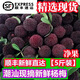 表鮮人順豐楊梅新鮮潮汕現(xiàn)摘現(xiàn)發(fā)5斤鮮水果孕婦荸薺東魁非烏梅烏酥楊梅R 4斤【帶箱精選】 【順豐包郵】