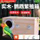 佐之尋鸚鵡繁殖箱鸚鵡窩孵化箱保暖防啃虎皮牡丹和尚玄風(fēng)小太陽冬季鳥窩 大號(hào)左掛【25*14*14cm】8mm實(shí)木松木