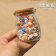 許愿瓶裝天然海螺貝殼海星組合海洋科普標本手工diy材料裝飾擺件 許愿瓶裝約400顆