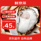 鮮京采 鮮活生蠔5XL 凈重5斤 9-12只 生鮮海鮮 源頭直發(fā)