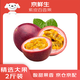 京鮮生 廣西紫皮百香果 2斤裝 約13-15粒 單果約70g 酸甜風(fēng)味 生鮮水果