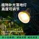 聚遠(yuǎn)方落地式全光譜植物補(bǔ)光燈生長燈仿太陽光模擬燈陽臺(tái)室內(nèi)花卉日照燈 35W【黑色款】