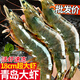 皇家麒麟3斤 大蝦特大號鮮活速凍海蝦青島大蝦海鮮冷凍海捕對蝦白蝦整箱 15-18cm大蝦 2.7斤(凈重)  整箱
