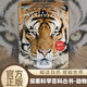 探索科學(xué)百科叢書(shū)-動(dòng)物 小學(xué)生科普類(lèi)書(shū)籍百科全書(shū)少兒大百科讀物6-12歲