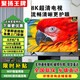聚揚王牌【電視機排行前十名】【限時補貼20%一級能效】2025新款無邊框8K液晶電視機超高清防藍光智能家用 55英寸 語音網(wǎng)絡版4+256GB 送掛架