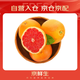 京鮮生 紅心西柚/柚子 5斤裝 單果230g起 生鮮水果