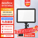 神牛（Godox） 補光燈P120C攝影燈單反攝像機相機攝像燈影視拍照婚慶常亮燈光 P120C平板燈 標配