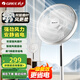 格力（GREE）【雙層擴風(fēng)扇葉】立式電風(fēng)扇大風(fēng)量家用落地扇廣角搖頭定時(shí)遙控電扇臺地兩用落地扇 FSZ-30X65Bg7