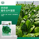 京農(nóng)研農(nóng)科院蔬菜種子大葉香菜四季小蔥雞毛菜紅莧菜芝麻菜空心菜種籽孑 越冬尖葉菠菜 10克
