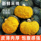 陜西正宗貝貝南瓜蒸著吃的小南瓜營養(yǎng)美味產(chǎn)地直發(fā) 【3-7個裝】凈重4.5- 5斤