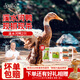 楊博士皖南整只老鴨2只 凈重4斤 農(nóng)家散養(yǎng)鴨子土鴨溪水河鴨肉源頭直發(fā)