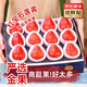 優(yōu)味集紅寶石蓮霧水果新鮮【JD順豐上門】海南大霧連風鈴鐺仙女孕婦果 2.8斤凈重裝（多人爽吃） 商超級金果70g+