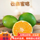 金嬸園云南無籽蜜橘 新鮮青皮酸桔子早熟青柑橘應(yīng)季水果 3斤大果（16個左右）