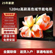 SONY SE43寸55寸65寸70寸75寸85寸100英寸4K智能語(yǔ)音網(wǎng)絡(luò )電視全面屏OLED 100英寸 藍光護眼高清網(wǎng)絡(luò )電視