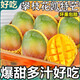 粵迎攀枝花凱特芒果芒果新鮮四川水果需催熟再食用應(yīng)季現(xiàn)摘時(shí)令生鮮 5斤精選裝【爆甜多汁】?jī)?.5斤 普箱裝【自吃推薦】