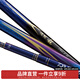 達(dá)億瓦（DAIWA）波紋龍 三代目 28調(diào)魚竿 臺釣竿手竿綜合休閑竿鯉魚竿 進(jìn)口釣魚竿 Class 4-54