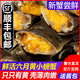 【活蟹】大閘蟹  滿黃全公母混搭六月黃 精品鮮活香辣河蟹水產(chǎn) 鮮活一元蟹【25只+送5只】 六月黃公蟹為主 適合香辣蟹