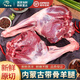 蒙羊煌（MENGYANGHUANG） 內(nèi)蒙古羔羊肉原切半只羊全羊腿羊排羊蝎子手把肉整燒烤食材生鮮 內(nèi)蒙帶骨羊腿 凈重5斤（切塊）