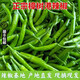 鮮級佳湖南樟樹港辣椒【順豐速運】新鮮嫩辣椒農(nóng)家特產(chǎn)薄皮嫩青椒現(xiàn)摘 2斤