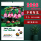 ruimantang2026年掛歷馬年三開(kāi)13張彩色銅版紙簡(jiǎn)約創(chuàng  )意大號格子打卡實(shí)景風(fēng)景拍攝單月歷線(xiàn)圈裝實(shí)家用壁掛裝飾 2026年 幸福時(shí)光 （線(xiàn)圈 13張）