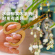Berry&Bird園藝草花剪不銹鋼實(shí)木柄盆栽修枝花藝剪刀插花工具家用剪刀