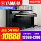 【老師推薦】日本制 雅馬哈鋼琴 YAMAHA 二手鋼琴 U1/U2/U3 日本原裝進口立式鋼琴 U1初學款【高121CM初學考級】 進口鋼琴+送貨入戶+全國聯(lián)保+終生售后