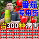園藝番茄病i毒病專(zhuān)用藥西紅柿殺蟲(chóng)病菌清葉枯萎炭疽灰霉病葉面肥 1瓶裝,30ml/瓶【體驗裝】