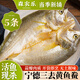 森農樂(lè )黃魚(yú)鲞生鮮寧德三去大黃魚(yú)冷凍咸香風(fēng)干黃花魚(yú)海鮮年貨特產(chǎn)商用 【3條*250g】當季活魚(yú)現殺