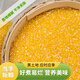 鮮農子東北現磨小碴子5斤新鮮脫皮玉米碎玉米渣糧食粥玉米糝小茬子苞米 【袋裝】小碴子500gX5袋