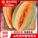 京源采山東哈密瓜西周密瓜當(dāng)季新鮮孕婦水果冰淇淋網(wǎng)紋瓜哈蜜瓜源頭直發(fā) 帶箱9斤(人多推薦,凈重8斤+)