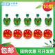 清涼油 老虎牌清涼膏提神醒腦學(xué)生蚊蟲(chóng)叮咬夏季清涼止癢防傷暑中華虎頭牌 10組【清涼油+龍虎牌風(fēng)油精】清涼止癢 蚊蟲(chóng)叮咬