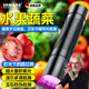 颯望德國蔬菜熒光劑檢測筆紫光燈鑒定紫外線手電驗鈔貓?zhí)\檢測激光 紫光檢測燈【帶激光筆】