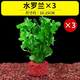 勝畫魚缸水草植物直接入缸真水草凈化竹節(jié)草蜈蚣草懶人養(yǎng)魚水草造景 水羅蘭買1發(fā)3【免底砂/免種植】
