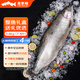 龍羊峽冰鮮國產(chǎn)青海三文魚(yú)整條大魚(yú)禮盒冷水魚(yú)生鮮高原虹鱒送禮順豐 冰鮮整魚(yú)禮盒 3.8kg （7-8斤）