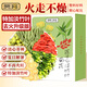 貢苑 蓮子心淡竹葉菊花枸杞茶140g共20包搭養(yǎng)生護(hù)甘草金銀花三伏天